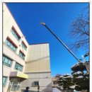 관교초등학교 이미지