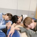 고롱고롱 이미지