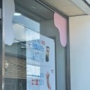또와 | [울진•영덕]젤라또 맛집 또와젤라또 후기