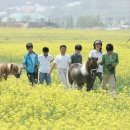 렛츠런파크 제주 이미지