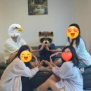 더솔펜션 이미지