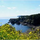 제주 서귀포 외돌개 이미지