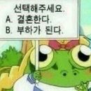 뽈리식당
