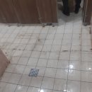 미로공원 화장실 이미지