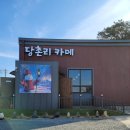 당촌리카메 이미지