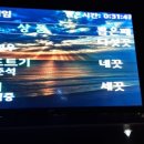 아마존실내낚시터 이미지
