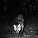 고은사진미술관 이미지