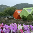 경주동궁원 주령구화장실 이미지