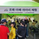 웅천읍성 이미지