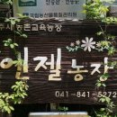 김태진농장 이미지