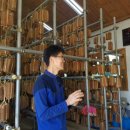 맹골마을 이미지