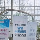 와이제이스포츠 Daum카페