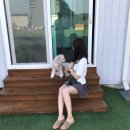 개리비안베이