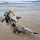 청림동-11 이미지