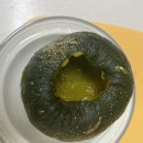 빨강오리 이미지