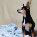 저스트민박 이미지