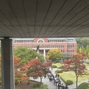 파닭파닭비앤씨 이미지