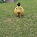 왓섬