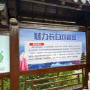 백두산휴게소 | 20240821~4 백두산(+서파)