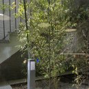 pet63어4233 | 하 지친다 포토덤프 너란애