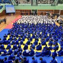 금빛성인태권도 이미지