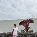 요한성당 앞 | 신안 섬티아고 순례길여행 걸어서 12사도성당 방문후기 | 소요시간 코스 준비물 | 병풍도 맨드라미정원