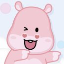 캠핑히포