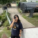 정각산 벨리 이미지