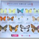 레스토리 이미지