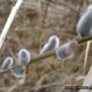 청산농장 이미지