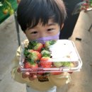 정수태권도장 이미지