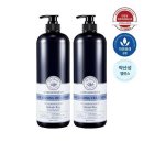 씨드(SEED) 헤어 이미지