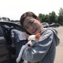 강아지 대통령 이미지