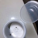한국크로락스