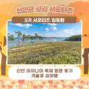 신안문구 | 🌼 신안 아자니아 축제 방문 후기 겨울꽃 섬여행