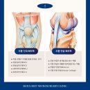 우리들재활의학과의원 이미지