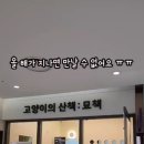 고양이의 산책:묘책 이미지