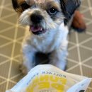 펑키펫(Funky pet) | 동결건조간식 펑키펫 북어트릿 강아지간식 &#34;기호성 Good 재료 Good&#34;