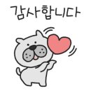 숲속댕토리애견유치원 이미지