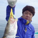 성복호 이미지