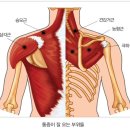 김재관한의원 네이버블로그