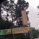 장흥감나무집 이미지