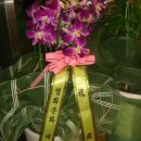 장병화회원의 성북구 돈암동 한신,한진아파트내 스카이상가 동관"뚜레쭈르동대문 한신점" 개업식 이미지