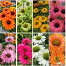 (주)케이소프트 이미지