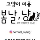 봄날냥 이미지