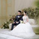 화이트홀 이미지