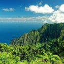 거북이의 꿈 이미지