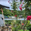 둥지농장 이미지