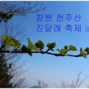 천주산 등산로 이미지
