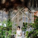 명선하우스 | 빌라드마리 부평 본식스냅, 노란 조명도 이기는 맑은 색감! (ft. 식대, 보증인원)| 페이지나인스냅